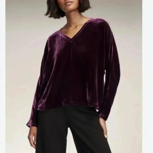 Eileen Fisher Tops - NWT Eileen Fisher Velvet V-Neck Dolman Sleeve Top Sweet Plum size Small